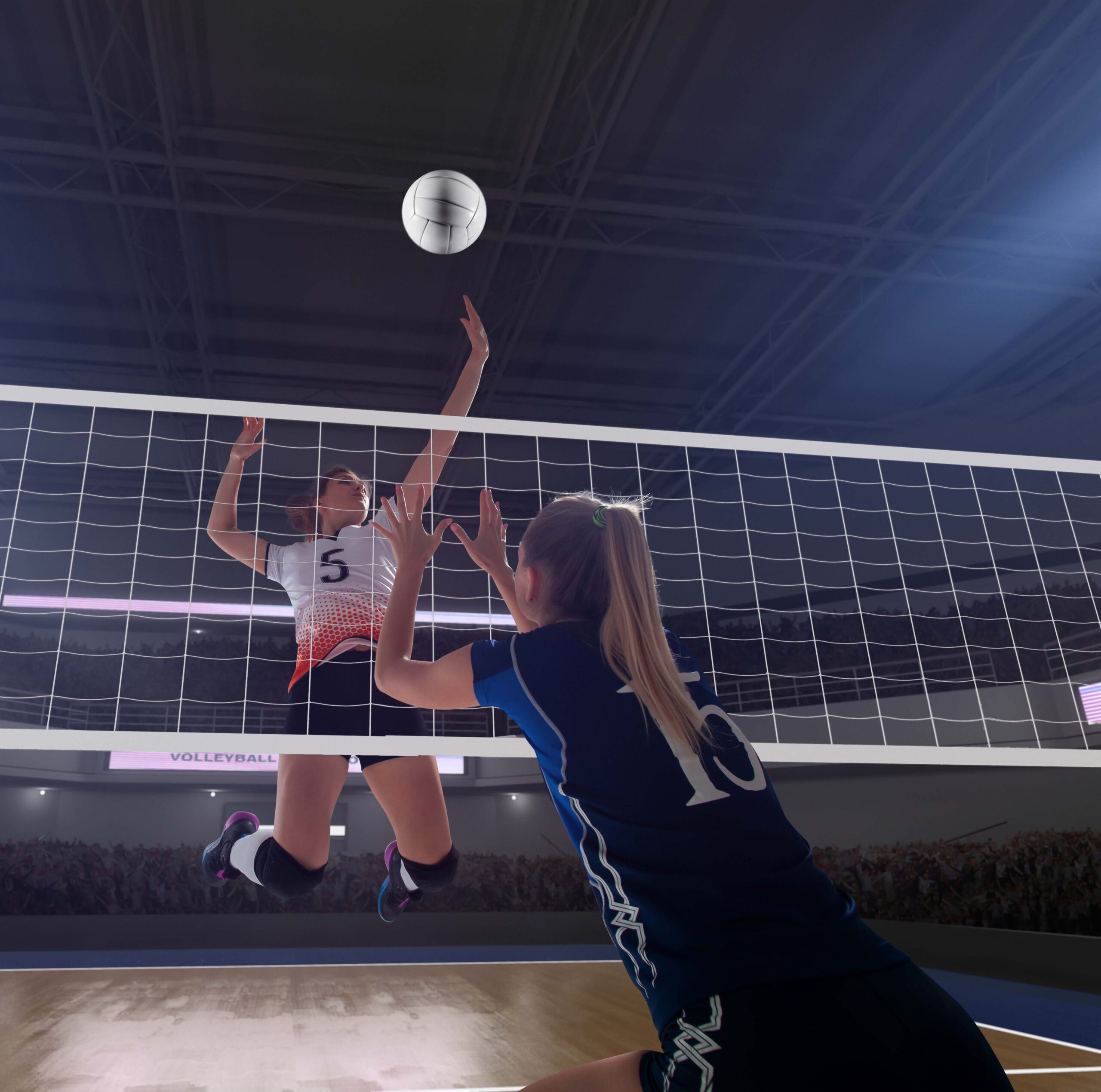 Challenge AVIS – FIPAV